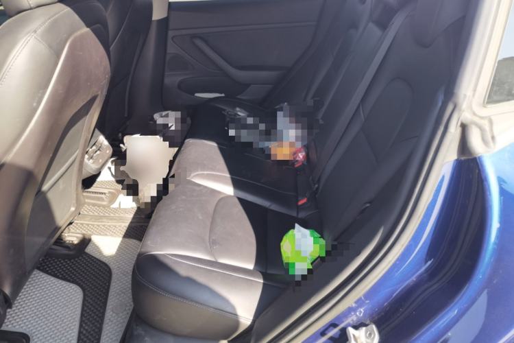 Used Tesla Model 3 2019 Long-Range Rear-Wheel-Drive Version Left Rear Seat