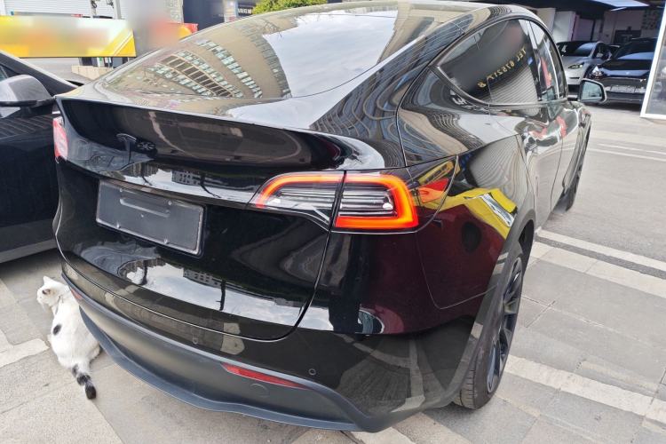 Used Tesla Model Y 2022 Long-Range All-Wheel-Drive Version