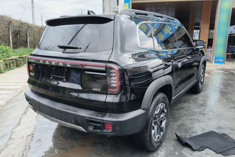 Used Haval DARGO 2024 2.0T DCT Chinese Rural Dog Edition
