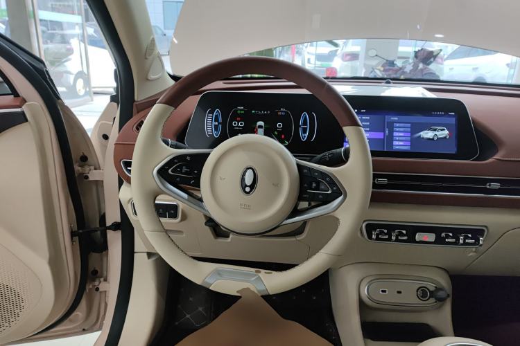 Used ORA Good Cat 2023 401 km Standard Range Comfort Version Lithium Iron Phosphate
