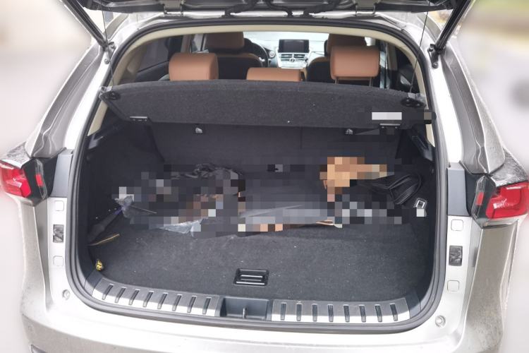 Used Lexus NX 2020 300 Front-Wheel-Drive Frenza Edition China V Standard
