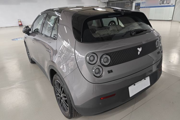 Used firefly 2025 Illuminated Edition
