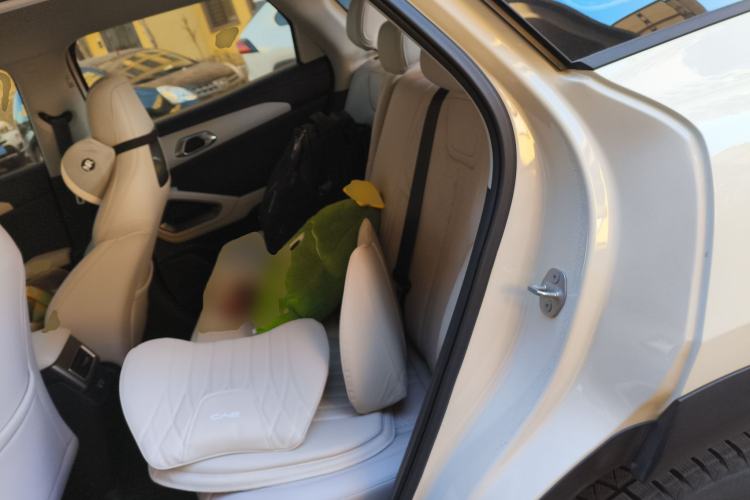 Used BYD Yuan UP 2025 Model 301KM Leading Version Left Rear Seat