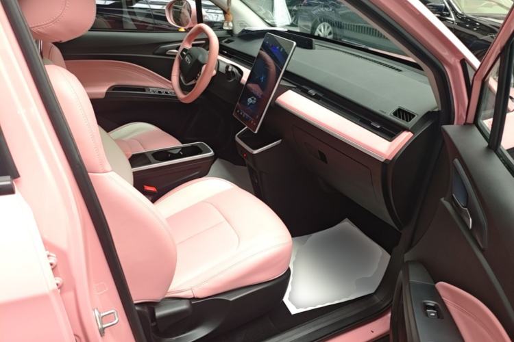 Used NETA V 2021 Witch Edition Right Front Seat