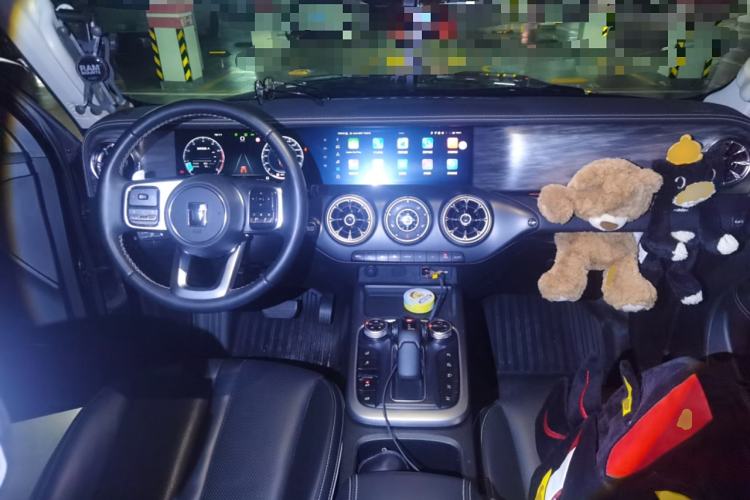 Used Tank 300 2024 2.0T Conqueror