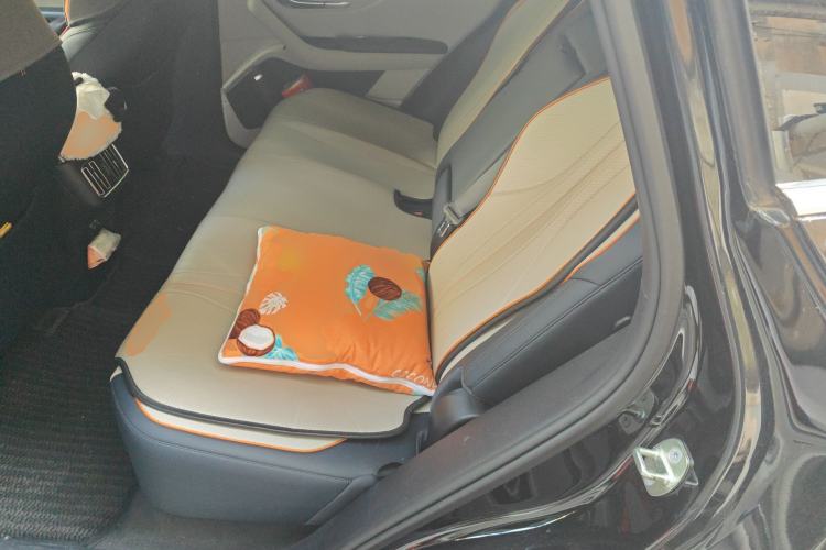 Used BYD Song PLUS New Energy 2021 DM-i 110KM Flagship PLUS 5G Edition Left Rear Seat