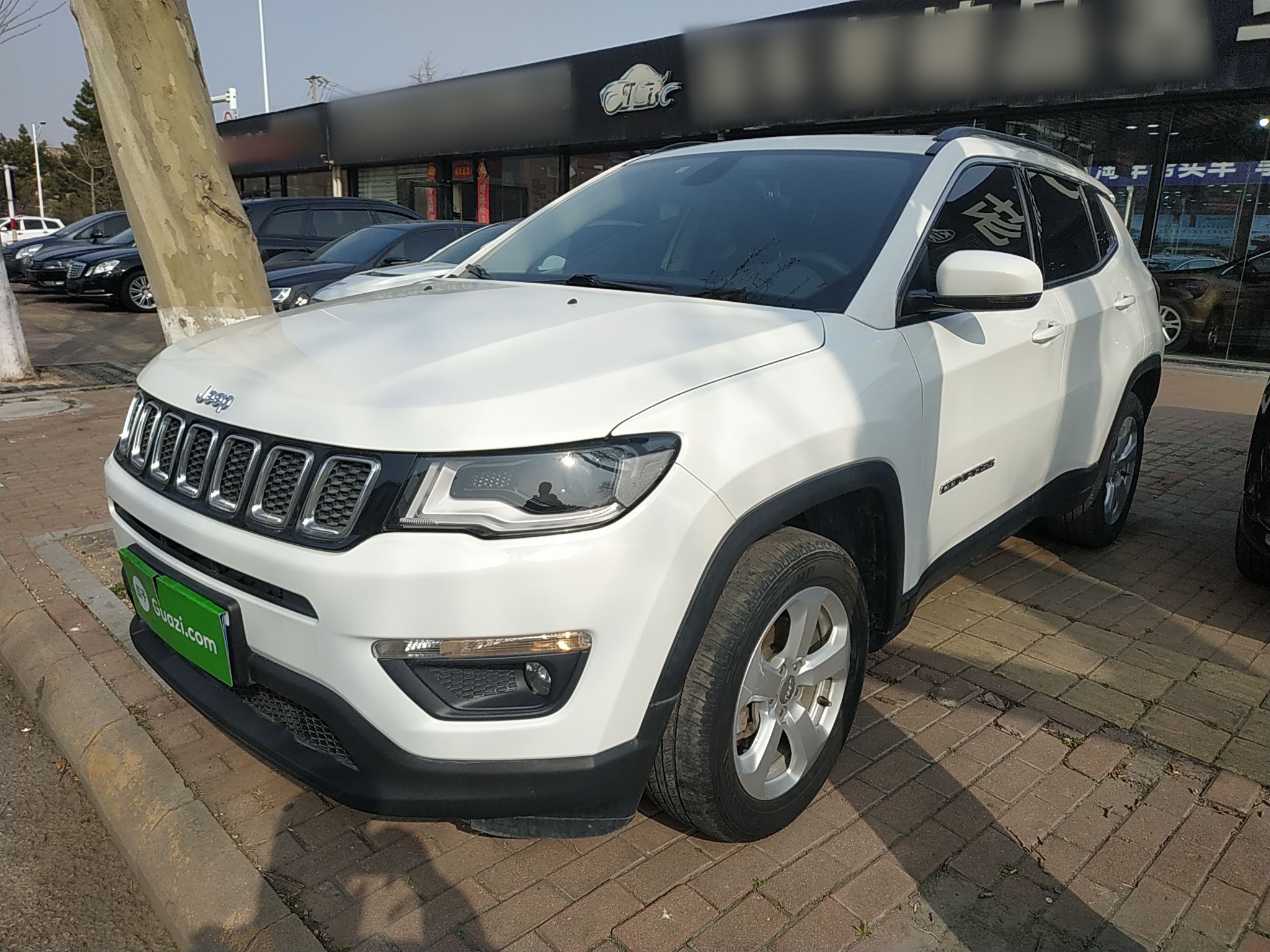 Parte inferior delantera