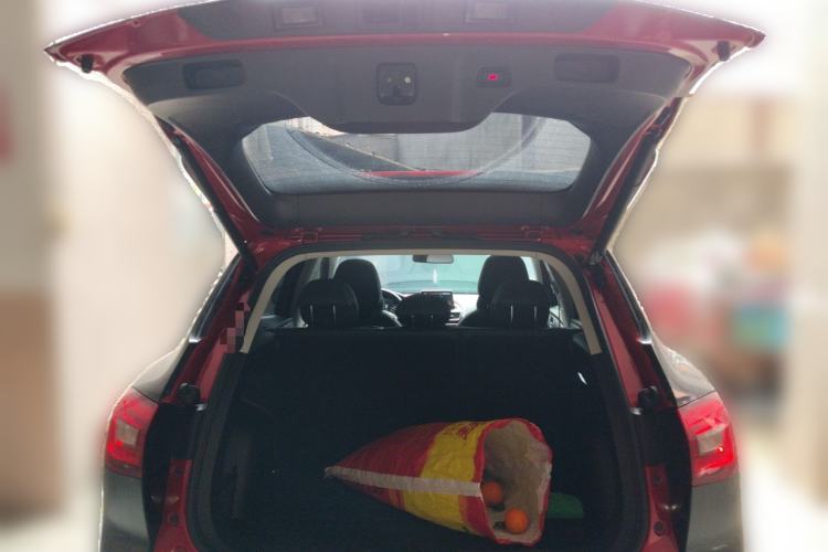 Used BORGWARD BX5 2020 20TGDI Automatic Two-Wheel Drive Pioneer Edition