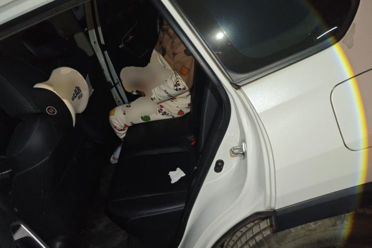 Used Toyota RAV4 2020 2.0L CVT Two-Wheel Drive Fashion PLUS Edition Left Rear Seat