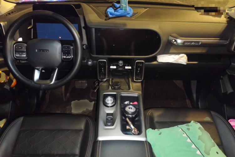 Used Haval DARGO 2024 2.0T DCT Chinese Rural Dog Edition
