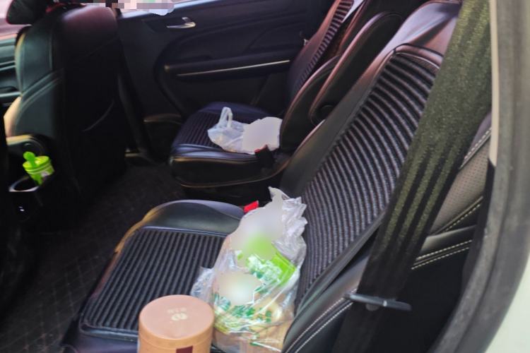 Used GAC Trumpchi M6 2019 270T DCT Luxury Edition (7-seater) China VI Left Rear Seat