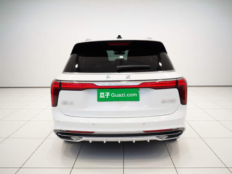 Used Hongqi E-HS9 2022 690 km Range Flagship Edition Six Seats — 5