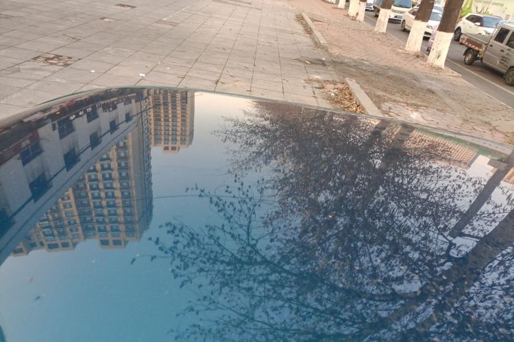 Used ORA Good Cat 2023 401 km Standard Range Luxury Version Lithium Iron Phosphate Roof