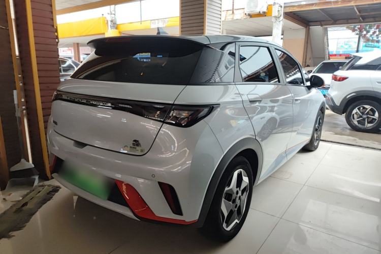 Used BYD Dolphin 2021 405 km Free Version