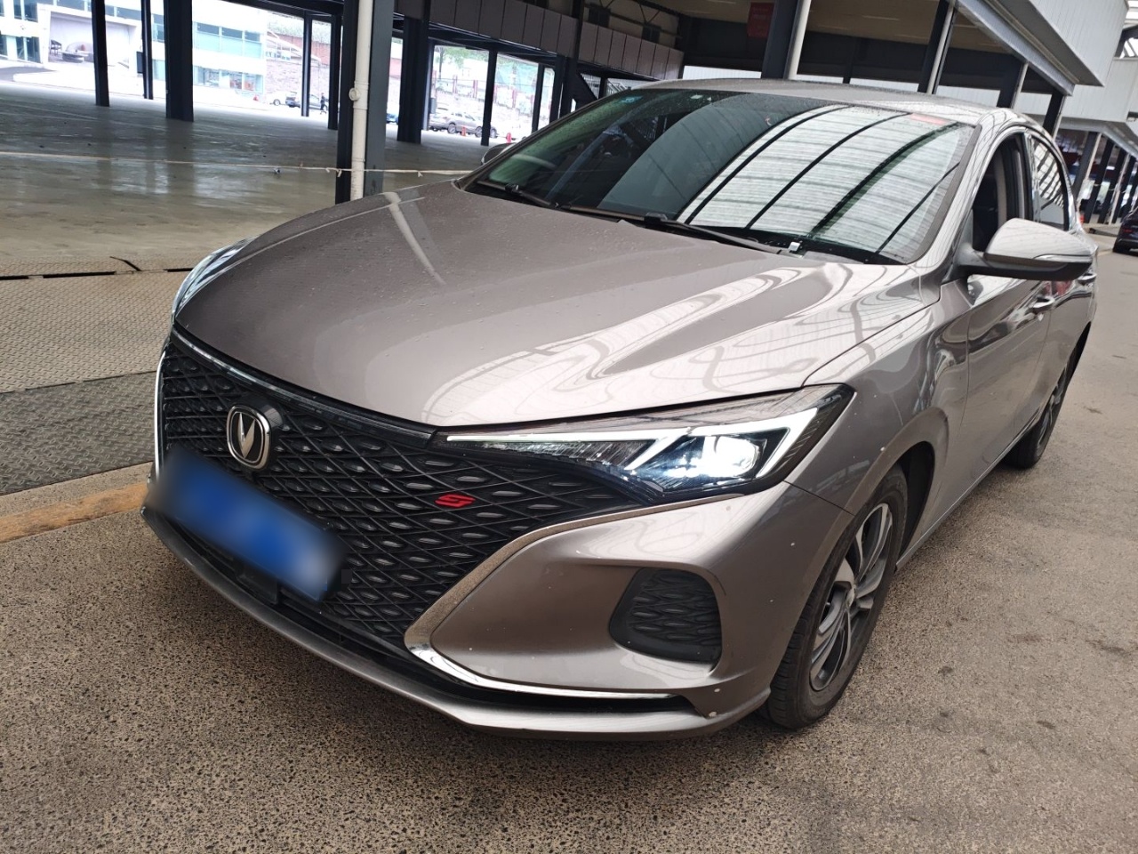 Parte inferior delantera