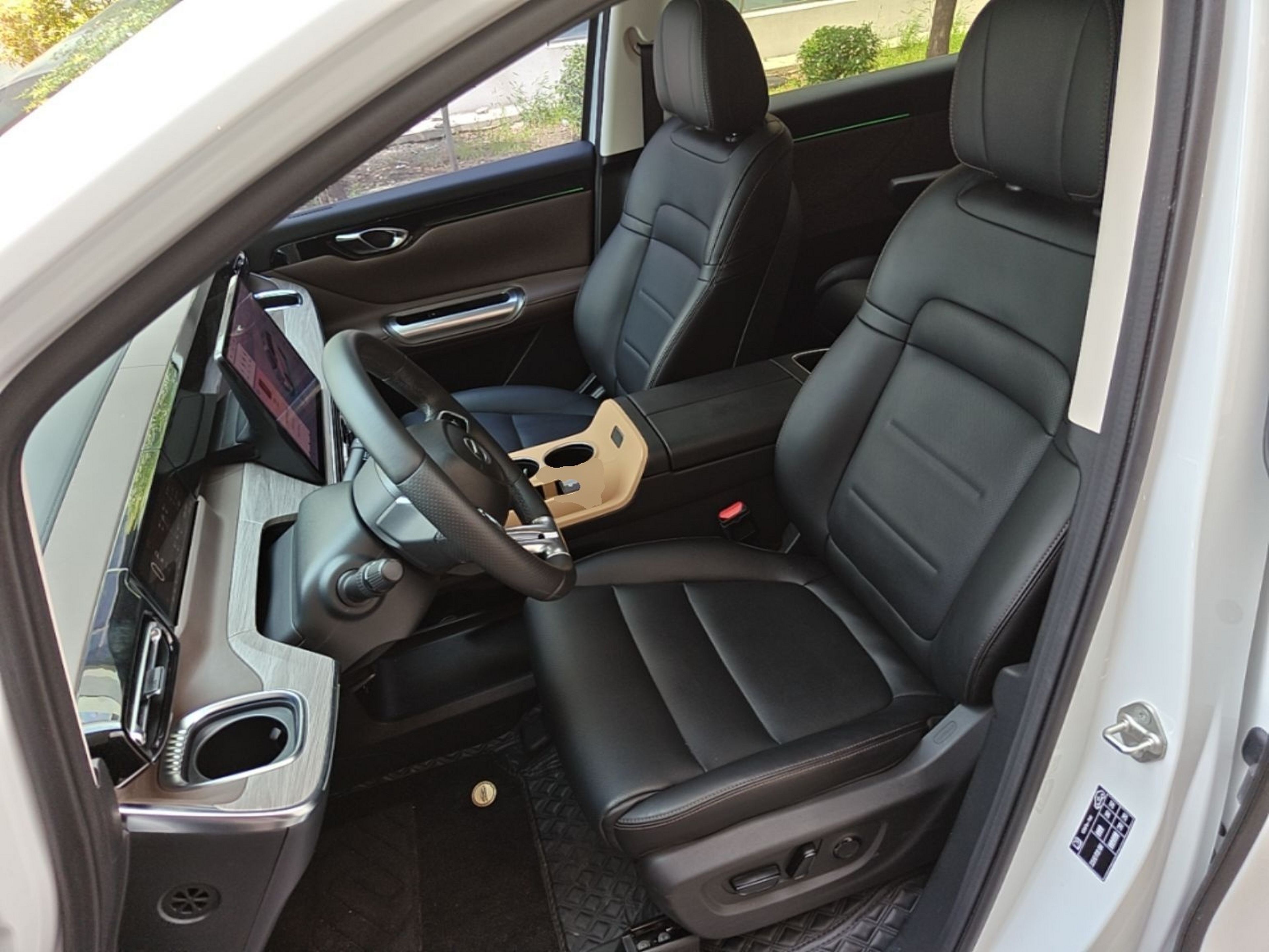 Interior delantero