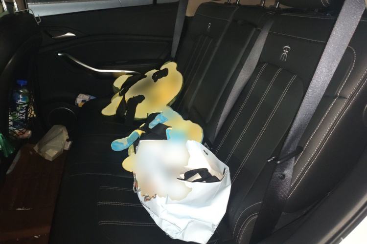 Used BYD Song New Energy 2019 Song DM 1.5TID Smart Connect Dynamic Model Left Rear Seat