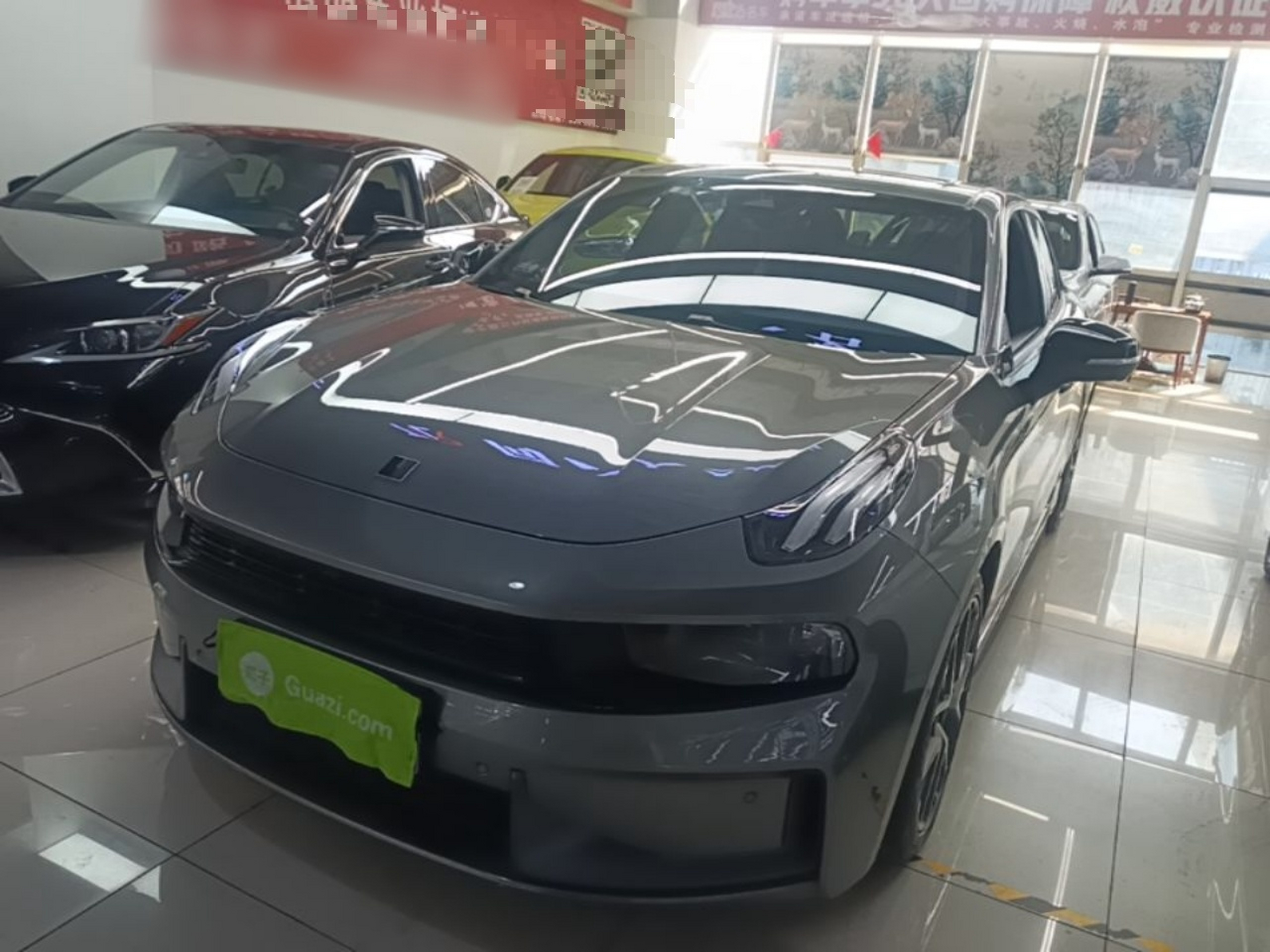 Under Front Bumper