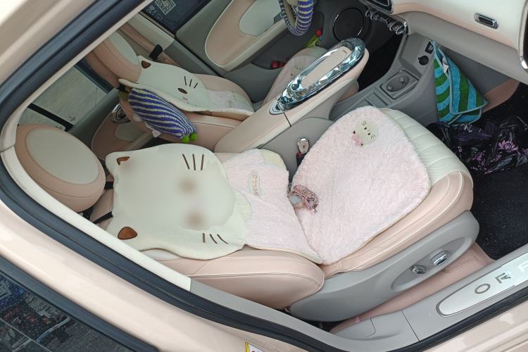 Used ORA Ballet Cat 2022 401 km Nutcracker Edition