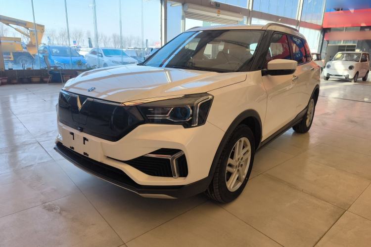 Used Venucia T60EV 2020 AI Enjoyment Model