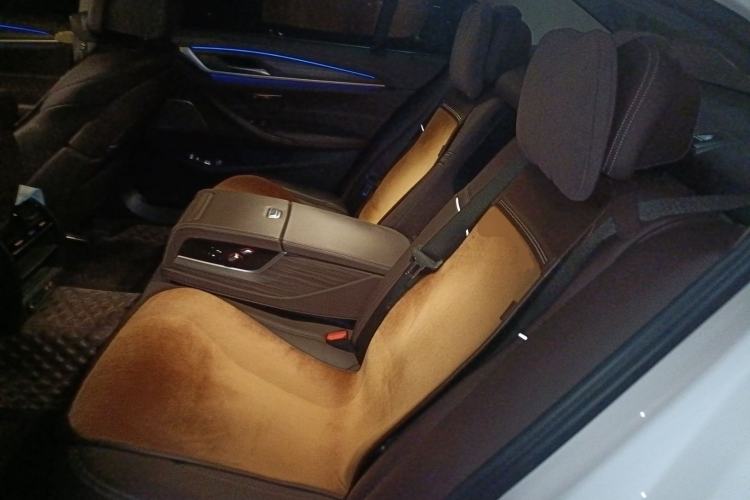 Used BMW 5 Series New Energy 2020 530Le Pioneer Edition Left Rear Seat