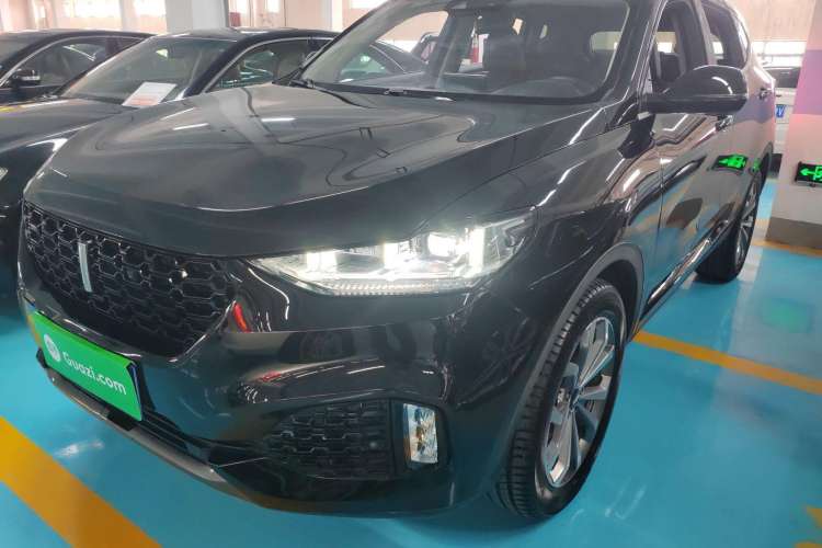 Used Wey VV6 2018 2.0T Two-Wheel-Drive Ultra-Luxury Version China V Standard