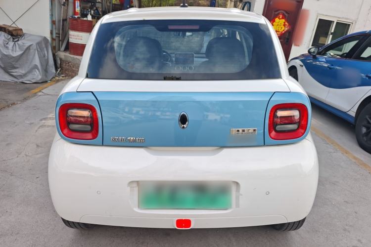 Used ORA Black Cat 2019 351 km Lingzhi Edition