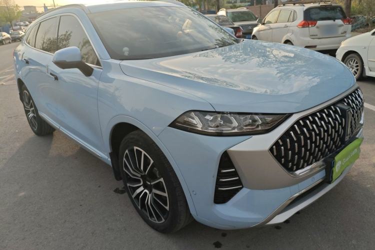 Used Wey Mocha 2021 2.0T Two-Wheel-Drive Premium Edition