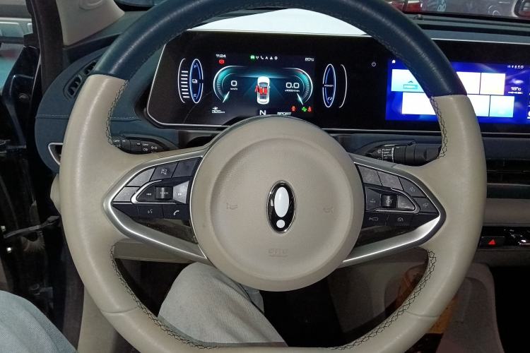 Used ORA Good Cat 2021 400km Standard Range Venus Edition Lithium Iron Phosphate Steering Wheel