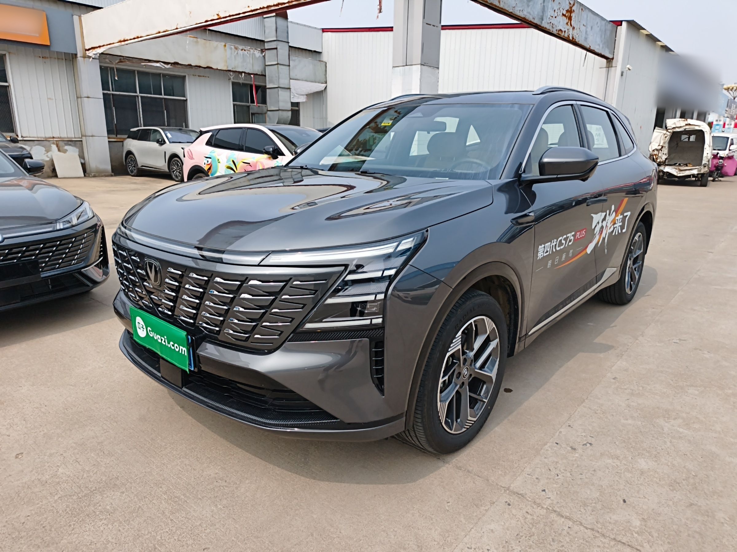 Parte inferior delantera