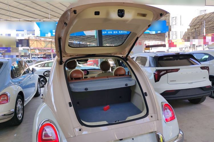 Used ORA Ballet Cat 2023 401 km Luxury Version