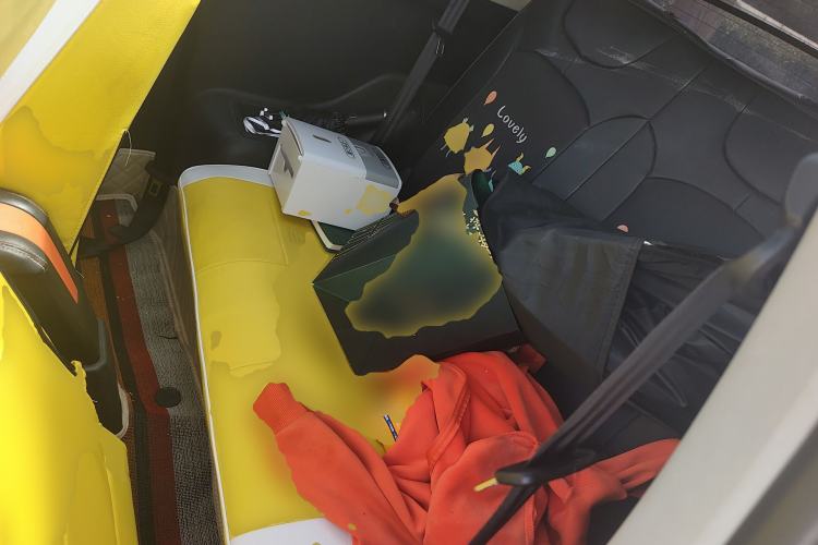 Used Chery QQ Little Ant 2021 150 000 Yuan Ant Fan Edition Ant Stylish Version Lithium Iron Phosphate Left Rear Seat