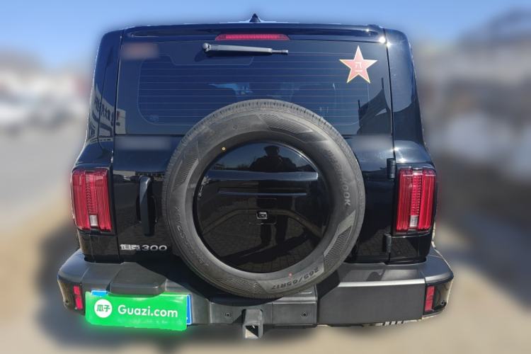 Used Tank 300 2024 2.0T Conqueror
