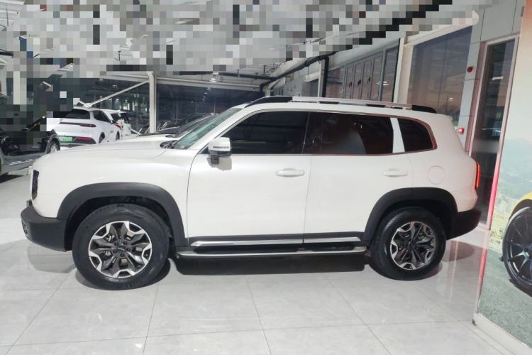 Used Haval DARGO 2021 2.0T DCT 4x4 Chinese Rural Dog Edition