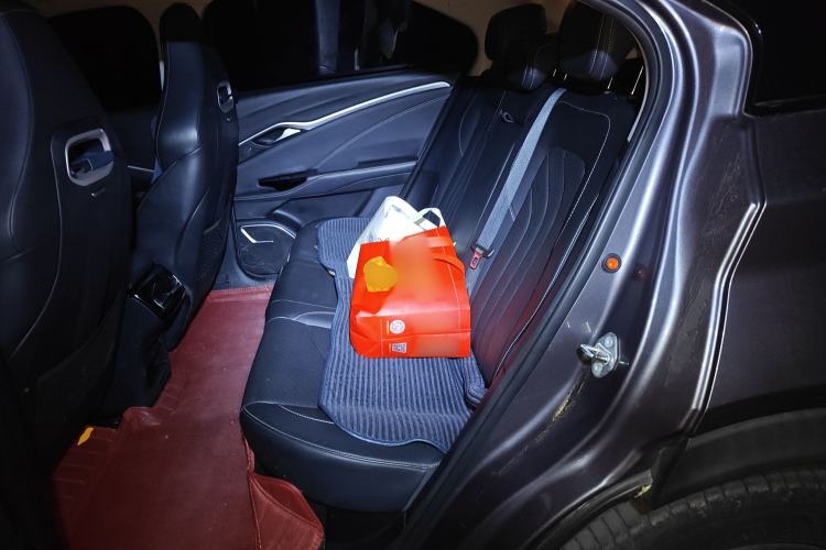 Used NETA U 2021 Pro 500 Global Edition Left Rear Seat