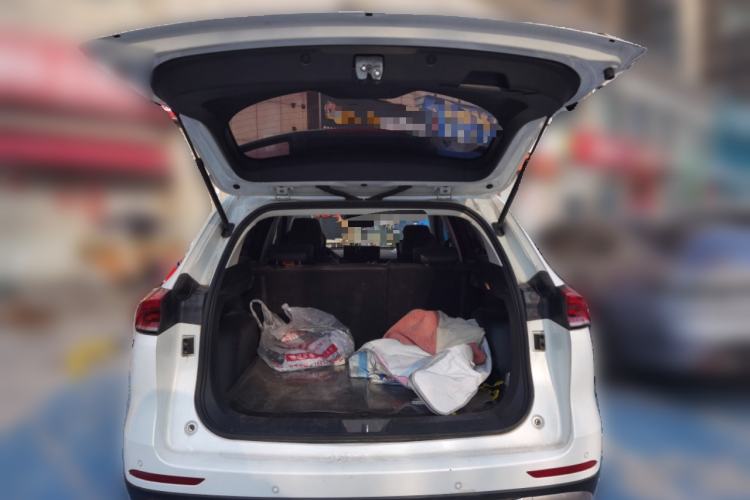 Used Haval H6 2023 National Trend Edition 1.5T Automatic Champion Version