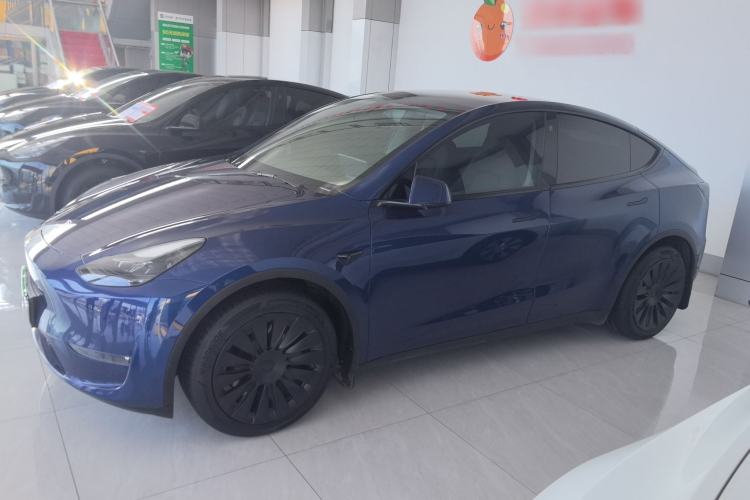 Used Tesla Model Y 2021 Standard Range Rear-Wheel Drive Version
