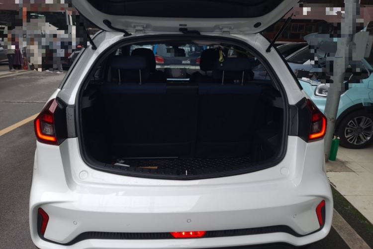 Used Geometry EX3 Kung Fu Cow 2021 Kungfu NiuNiu Trunk