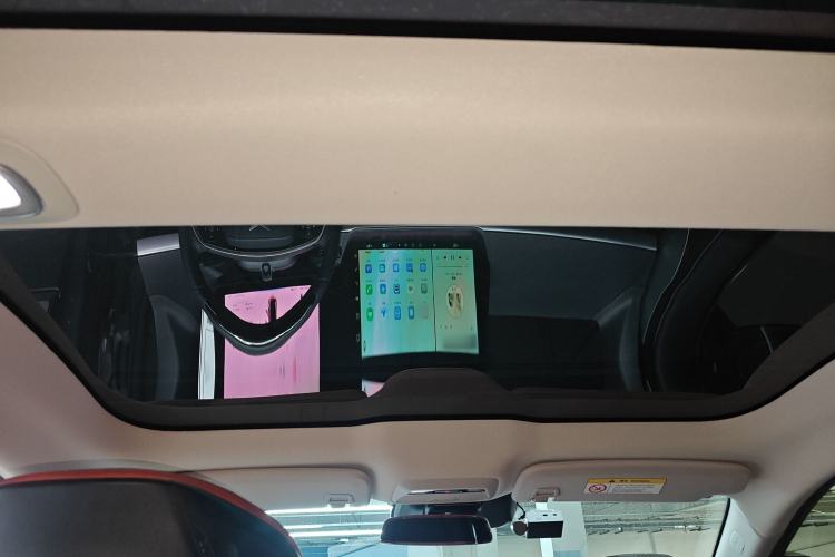 Used XPeng P7 2020 670N Headliner