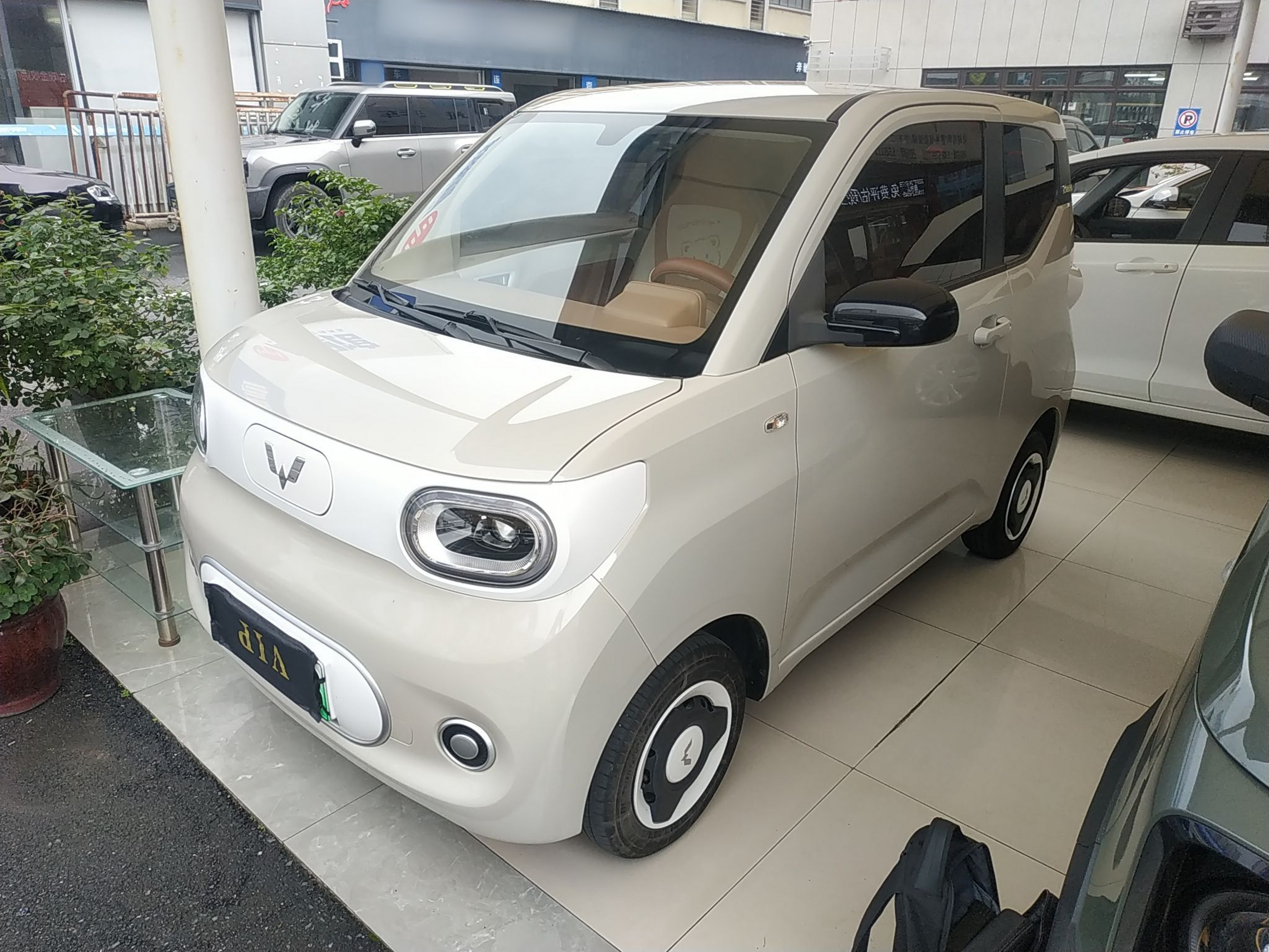 Parte inferior delantera