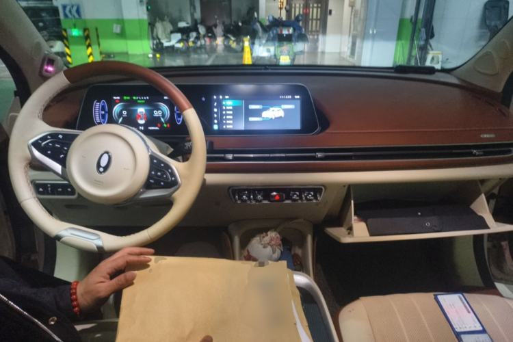 Used ORA Good Cat 2022 Morandi Edition 400km Standard Range Premium Version Lithium Iron Phosphate
