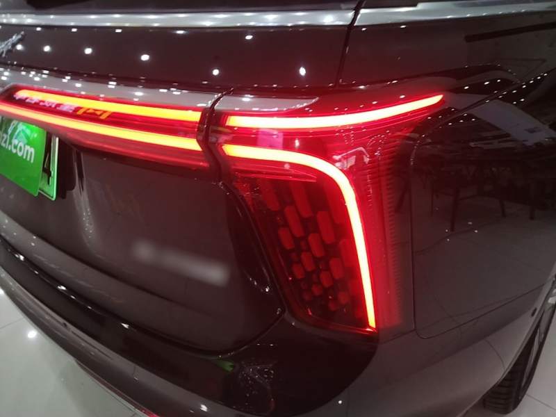 Used Hongqi E-HS9 2021 460 km Range Flagship Edition Six-Seater — 7