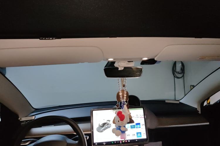 Used Tesla Model 3 2020 Revised Version Standard Range Rear-Wheel Drive – Upgraded Edition Headliner