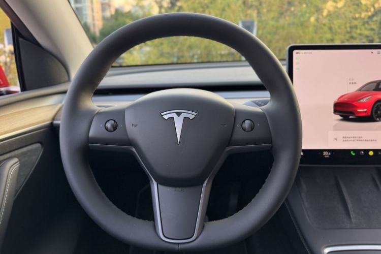 Used Tesla Model Y 2022 Revised Version Long-Range All-Wheel Drive