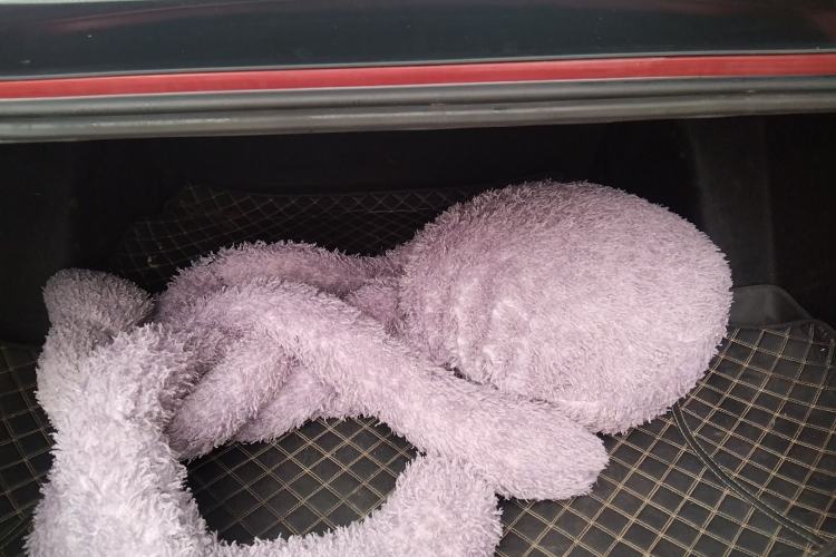 Used Dongfeng Aeolus Yixuan 2021 230T Automatic Chasing Shadow Edition Trunk