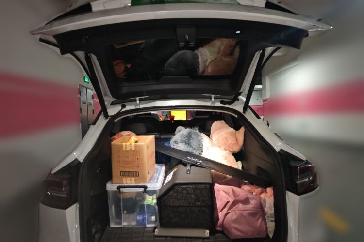 Used Tesla Model Y 2021 Long-Range All-Wheel-Drive Version