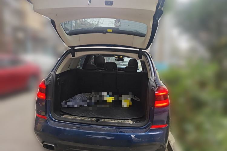 Used BMW X3 2018 xDrive25i M Sport Package China V