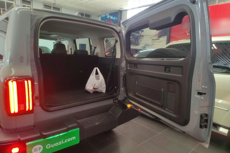 Used Tank 300 2024 2.0T Conqueror