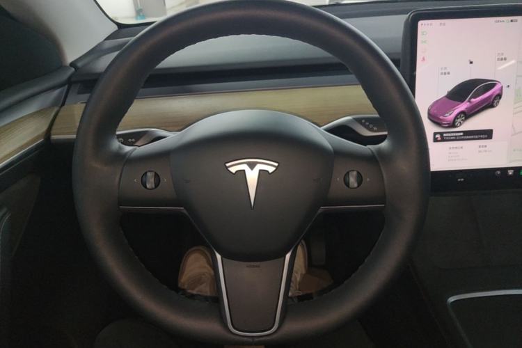 Used Tesla Model Y 2021 Standard Range Rear-Wheel Drive Version