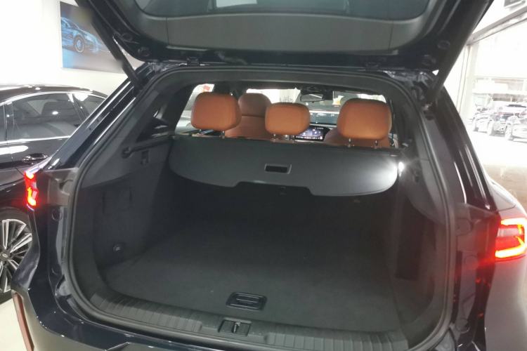 Used EXEED Lingyun 2025 300T Two-Wheel Drive Starry Edition